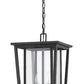 Z-Lite Seoul 12" 2-Light Oil Rubbed Bronze Aluminum Outdoor Chain Mount Ceiling Fixture With Clear Glass Shade