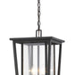 Z-Lite Seoul 12" 2-Light Oil Rubbed Bronze Aluminum Outdoor Chain Mount Ceiling Fixture With Clear Glass Shade