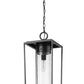 Z-Lite Sheridan 10" 1-Light Black Aluminum Outdoor Chain Mount Ceiling Fixture With Seedy Glass Shade