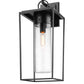 Z-Lite Sheridan 10" 1-Light Black Aluminum Outdoor Wall Sconce With Seedy Glass Shade