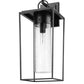 Z-Lite Sheridan 10" 1-Light Black Aluminum Outdoor Wall Sconce With Seedy Glass Shade