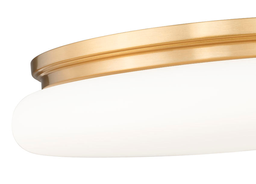 Z-Lite Soleil 20" 1-Light Integrated LED Matte Opal Glass Shade Modern Gold Steel Frame Flush Mount Lighting