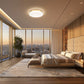 Z-Lite Soleil 20" 1-Light Integrated LED Matte Opal Glass Shade Modern Gold Steel Frame Flush Mount Lighting