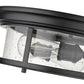 Z-Lite Sonna 14" 2-Light Matte Black Flush Mount Lighting With Clear Seedy Glass Shade