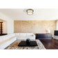 Z-Lite Sonna 16" 2-Light Heritage Brass Flush Mount Lighting With Matte Opal Glass Shade