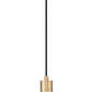 Z-Lite Stari 1-Light Medium Bulb Base Modern Gold Steel Pendant Light