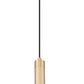 Z-Lite Stari 1-Light Medium Bulb Base Modern Gold Steel Pendant Light
