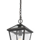 Z-Lite Talbot 9" 1-Light Oil Rubbed Bronze Outdoor Chain Mount Ceiling Fixture With Seedy Glass Shade
