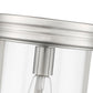 Z-Lite Thayer 9" 1-Light Brushed Nickel Steel and Clear Glass Shade Flush Mount Lighting