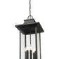 Z-Lite Tiberius 12" 6-Light Candelabra Base Black Aluminum Clear Seedy Glass Shade Outdoor Chain Mount Ceiling Fixture