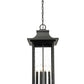 Z-Lite Tiberius 12" 6-Light Candelabra Base Black Aluminum Clear Seedy Glass Shade Outdoor Chain Mount Ceiling Fixture