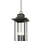 Z-Lite Tiberius 12" 6-Light Candelabra Base Black Aluminum Clear Seedy Glass Shade Outdoor Chain Mount Ceiling Fixture