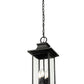 Z-Lite Tiberius 9" 4-Light Candelabra Base Black Aluminum Clear Seedy Glass Shade Outdoor Chain Mount Ceiling Fixture