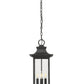 Z-Lite Tiberius 9" 4-Light Candelabra Base Black Aluminum Clear Seedy Glass Shade Outdoor Chain Mount Ceiling Fixture