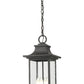 Z-Lite Tiberius 9" 4-Light Candelabra Base Black Aluminum Clear Seedy Glass Shade Outdoor Chain Mount Ceiling Fixture