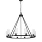 Z-Lite Titus 46" 10-Light Matte Black Steel Chandelier With Clear Glass Shade