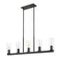 Z-Lite Titus 5-Light Matte Black Steel Frame Clear Glass Shade Linear Chandelier