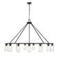 Z-Lite Titus 63" 15-Light Matte Black Steel Chandelier With Clear Glass Shade