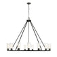 Z-Lite Titus 63" 15-Light Matte Black Steel Chandelier With Clear Glass Shade