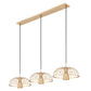 Z-Lite Valencia 56" 3-Light Modern Gold Steel Linear Chandelier