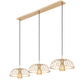 Z-Lite Valencia 56" 3-Light Modern Gold Steel Linear Chandelier