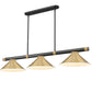 Z-Lite Vanguard 3050-3MB-RB-HBR15 59" 3-Light Matte Black and Rubbed Brass Steel and Aluminum Frame Heritage Brass Steel Shade Billiard Light
