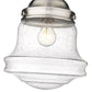 Z-Lite Vaughn 11" 1-Light Brushed Nickel Flush Mount Lighting With Clear Seedy Glass Shade