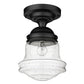 Z-Lite Vaughn 11" 1-Light Matte Black Flush Mount Lighting With Clear Seedy Glass Shade