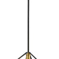 Z-Lite Vertical 11" 1-Light Bronze and Olde Brass Pendant Light