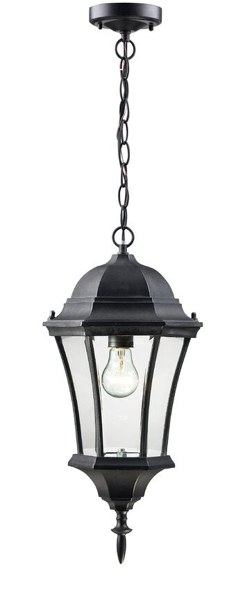 Z-Lite Wakefield 10" 1-Light Black Aluminum Outdoor Chain Mount Ceiling Fixture With Clear Beveled Glass Shade