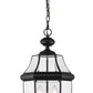 Z-Lite Westover 13" 3-Light Black Brass Outdoor Chain Mount Ceiling Fixture With Clear Beveled Glass Shade