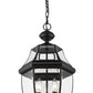 Z-Lite Westover 13" 3-Light Black Brass Outdoor Chain Mount Ceiling Fixture With Clear Beveled Glass Shade