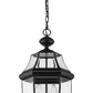 Z-Lite Westover 13" 3-Light Black Brass Outdoor Chain Mount Ceiling Fixture With Clear Beveled Glass Shade