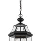 Z-Lite Westover 13" 3-Light Black Brass Outdoor Chain Mount Ceiling Fixture With Clear Beveled Glass Shade