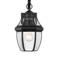 Z-Lite Westover 8" 1-Light Black Brass Outdoor Wall Sconce With Clear Beveled Glass Shade