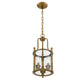 Z-Lite Wyndham 9" 3-Light Clear Glass Shade Chandelier With Heirloom Brass Frame Finish