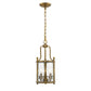 Z-Lite Wyndham 9" 3-Light Clear Glass Shade Chandelier With Heirloom Brass Frame Finish