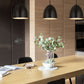 Z-Lite Z Studio Dome Pendant 10" 1-Light Satin Black Iron Pendant Light